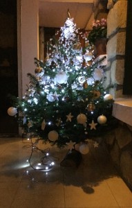 sapin-061216-1